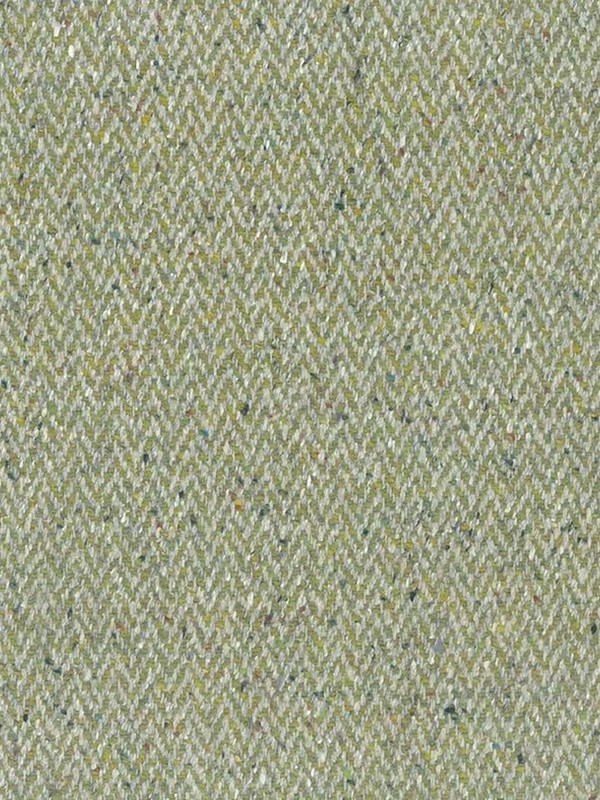 Herringbone Moss 