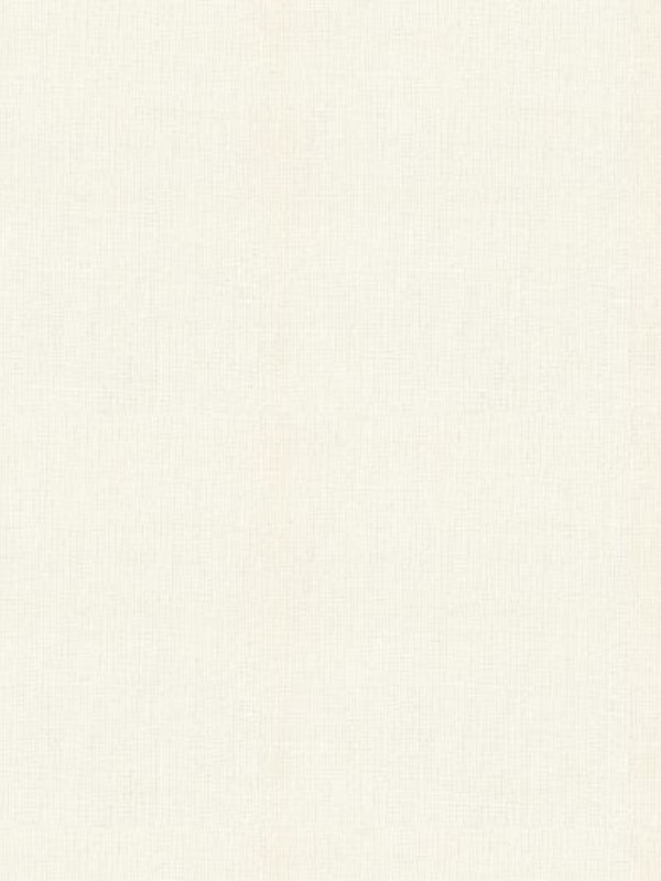 Linen Plain Ivory