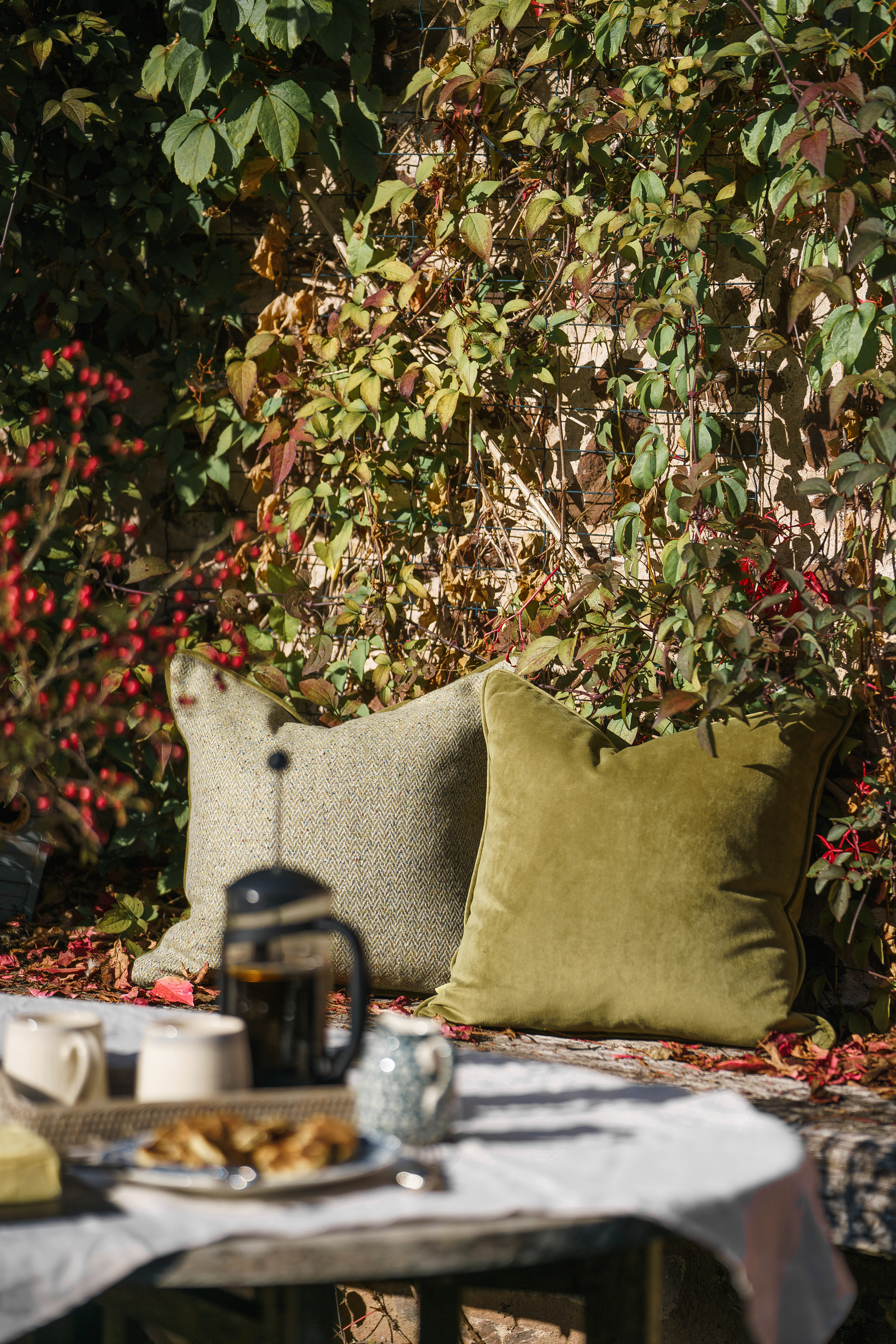 Luxury velvet cushions, styled in an autumnal setting.