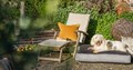 A dog enjoying lying on a luxury dog bed in the sun