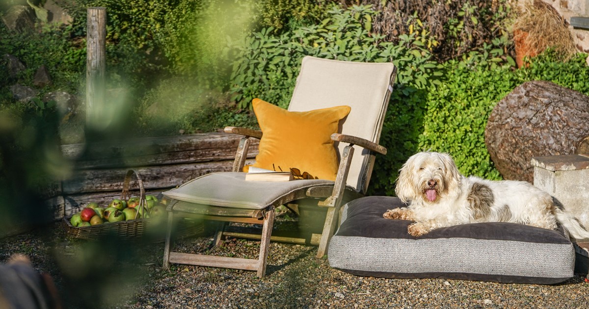 Luxury, high-quality fabric dog beds for your pet