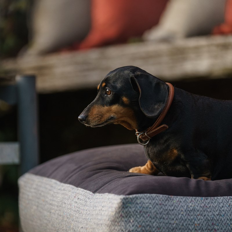 Designer dog beds, handcrafted with quality fabrics for your pets