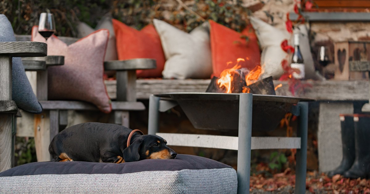 A sausage dog enjoying the comfort of a luxury dog bed from Boeboes