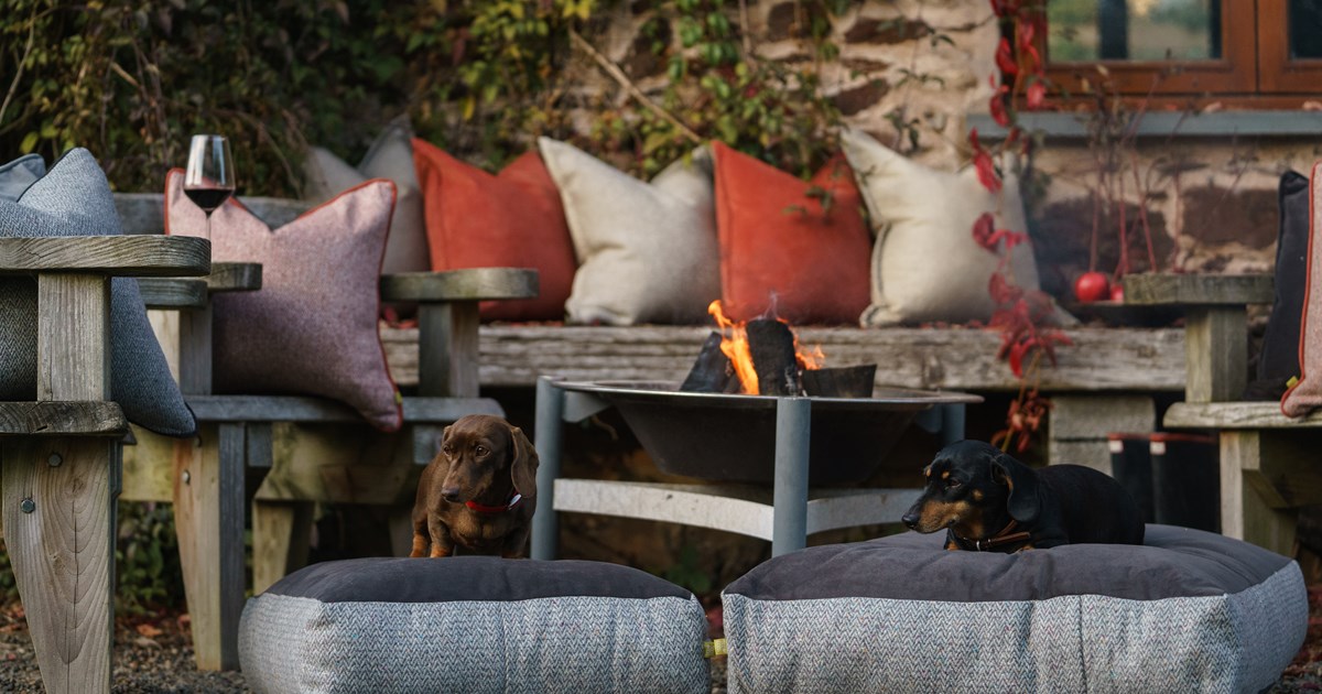 Luxury cushions in Autumnal colours for the season.
