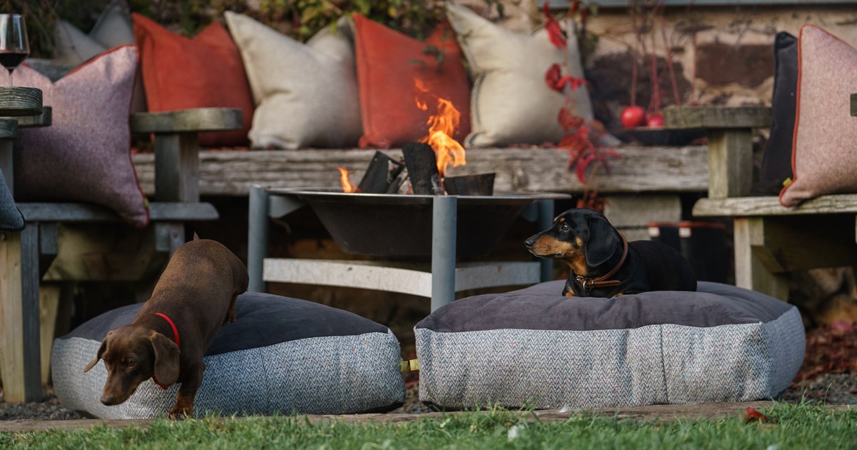 Designer dog bed with removable cover
