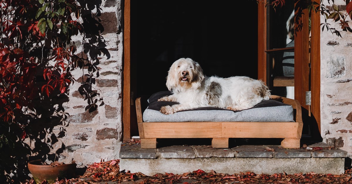 Boeboes luxury dog bed in quality charcoal fabric, enjoyed by a chilling dog.