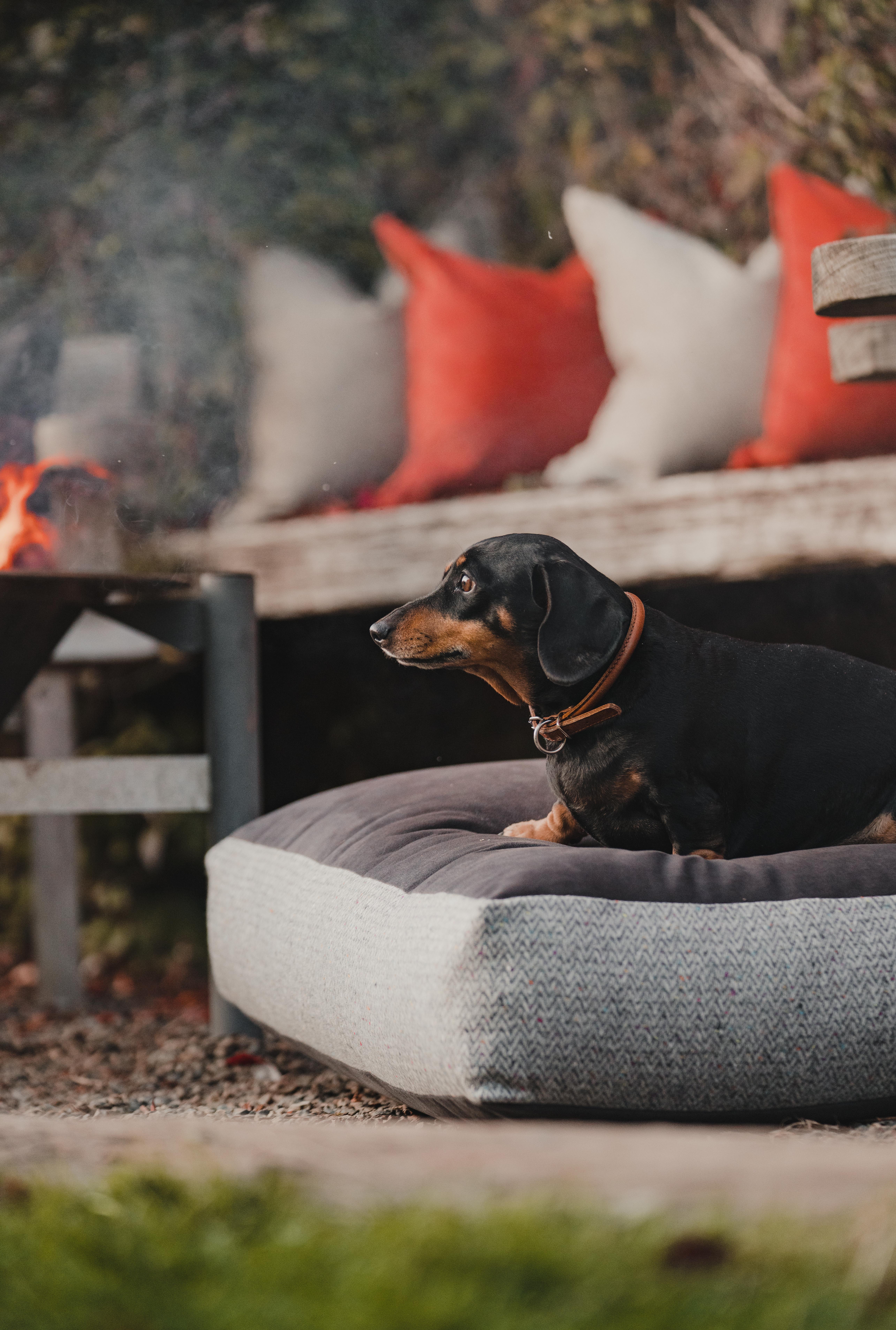 Luxury dog bed in charcoal with matching luxury sofa cushions.