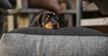 Luxury dog beds in our online home interiors shop.