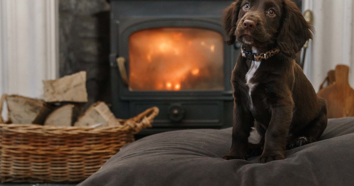 Luxury dog beds UK in our home interiors shop