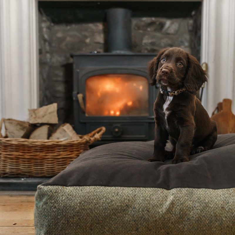 Designer dog beds to match your luxury soft furnishings