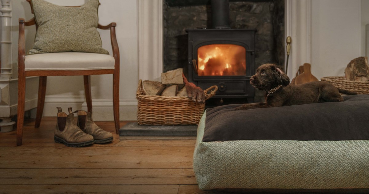 The perfect designer dog bed to treat your pup to this Christmas
