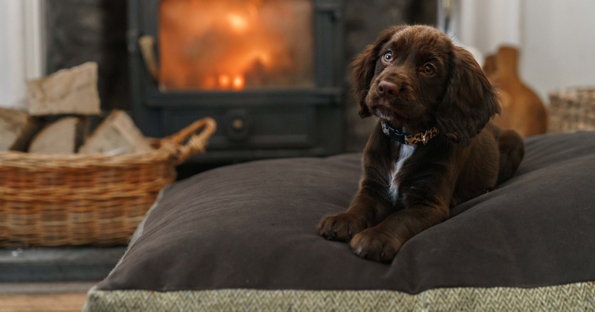 Luxury dog bed in charcoal and moss fabrics in front of the fire