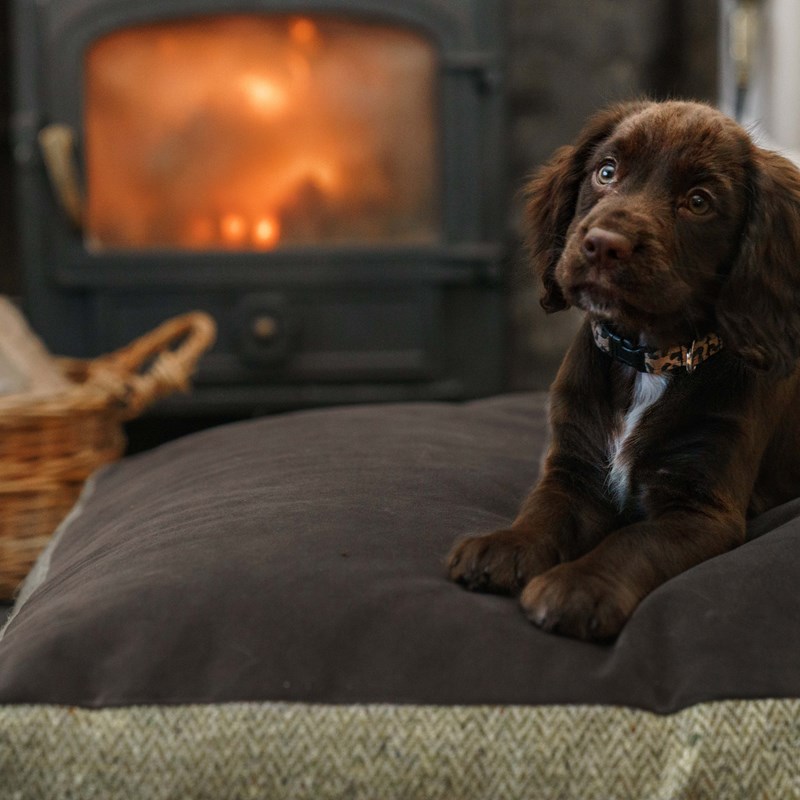 Custom-made designer dog beds  in a range of fabrics